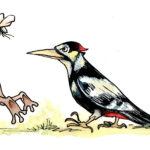 Ein Buch, das verbindet: Panchatantra als außergewöhnliches Kooperationsprojekt