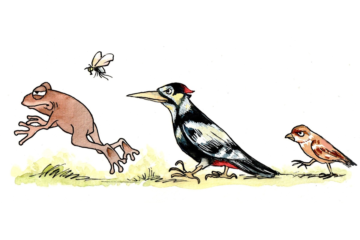 Mehr über den Artikel erfahren Ein Buch, das verbindet: Panchatantra als außergewöhnliches Kooperationsprojekt