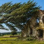 Resiliente Organisationen sind agil, nicht starr